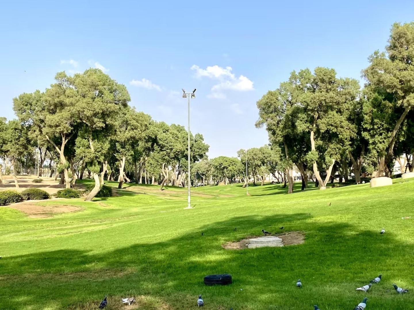 Apartament דירה יפיפיה! מיקום מעולה! אוניברסיטת בן גוריון, סורוקה, שוק, פארק! Beersheba Zewnętrze zdjęcie